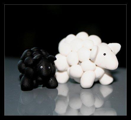 FIMO sheep.jpg