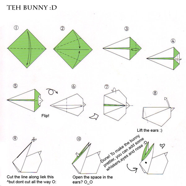 Bunny.jpg